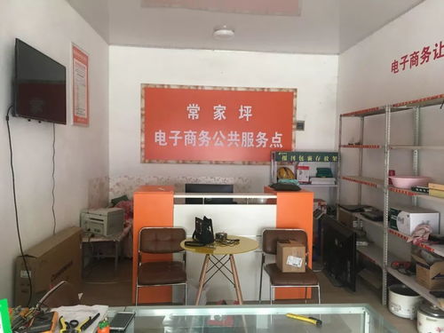 渭源縣電子商務(wù)公共服務(wù)中心2019年電子商務(wù)服務(wù)發(fā)展報告